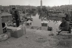 9802_31_005